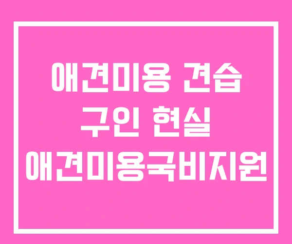 애견미용 견습 구인 현실 애견미용국비지원