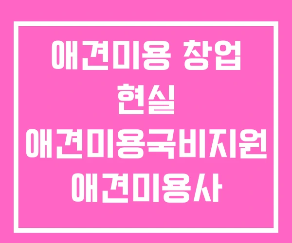애견미용 창업 현실 애견미용국비지원 애견미용사