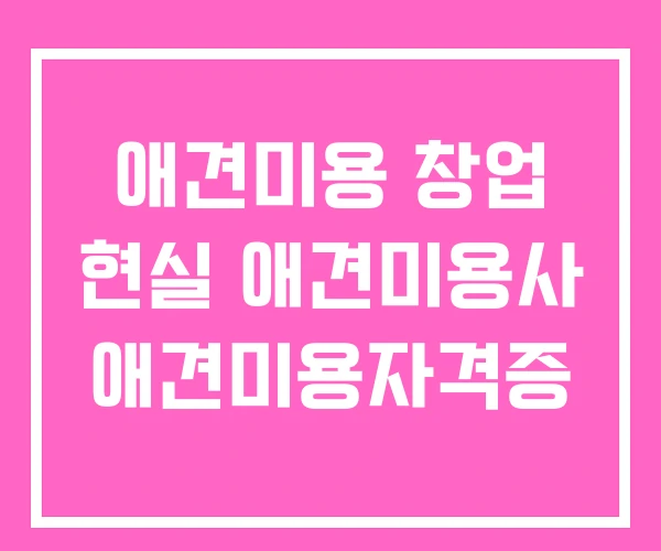 애견미용 창업 현실 애견미용사 애견미용자격증