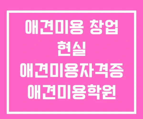 애견미용 창업 현실 애견미용자격증 애견미용학원 국비지원 애견미용 창업 현실 애견미용자격증 애견미용학원 국비지원
