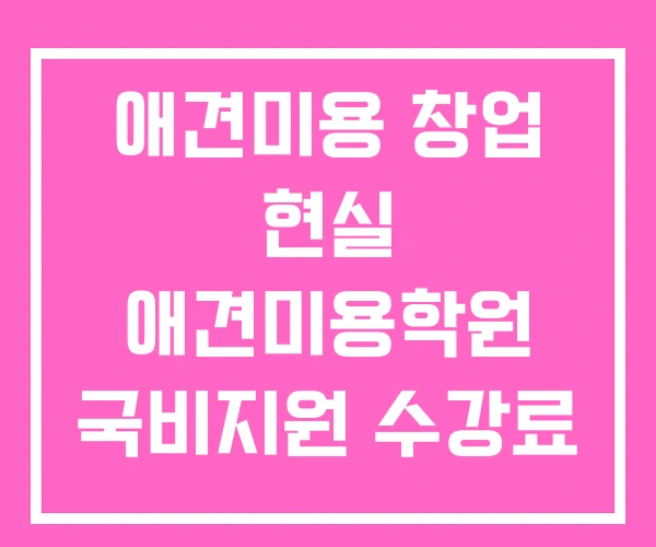 애견미용 창업 현실 애견미용학원 국비지원 수강료