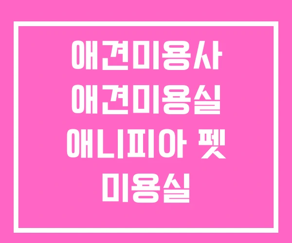애견미용사 애견미용실 애니피아 펫 미용실