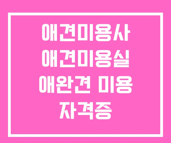 애견미용사 애견미용실 애완견 미용 자격증