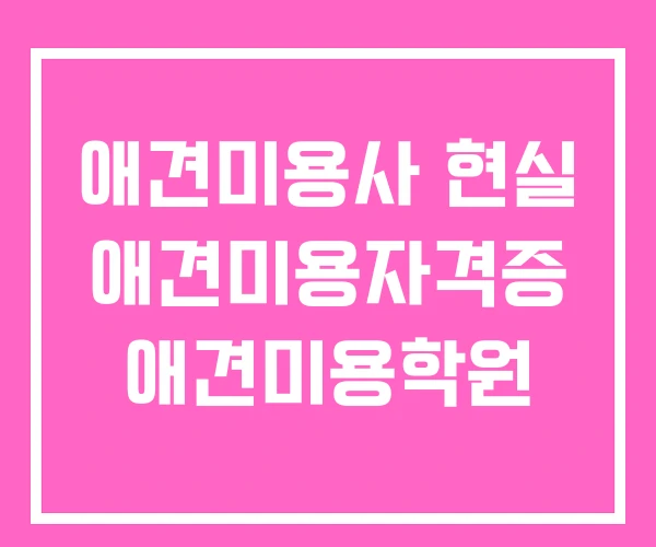 애견미용사 현실 애견미용자격증 애견미용학원
