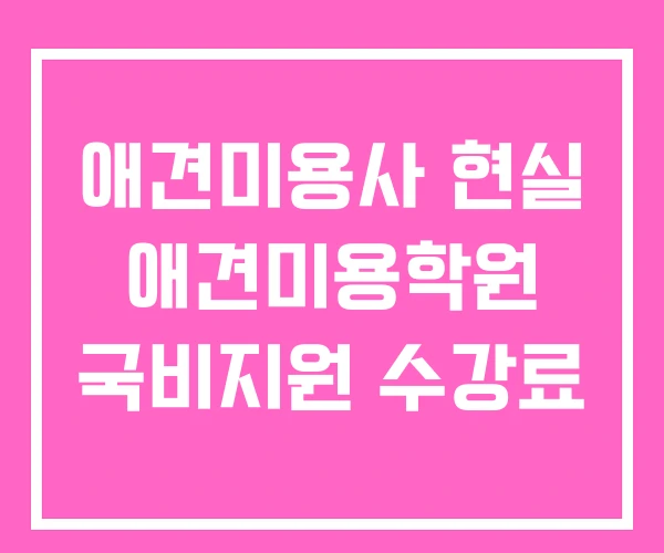 애견미용사 현실 애견미용학원 국비지원 수강료 애견미용사 현실 애견미용학원 국비지원 수강료
