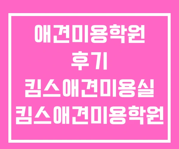애견미용학원 후기 킴스애견미용실 킴스애견미용학원