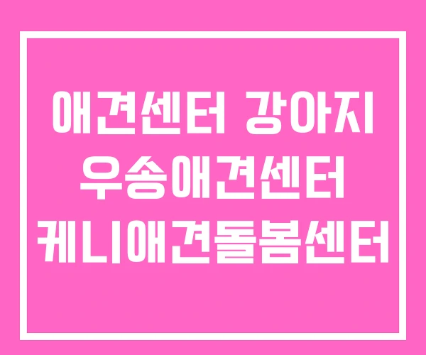 애견센터 강아지 우송애견센터 케니애견돌봄센터