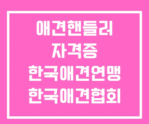 애견핸들러 자격증 한국애견연맹 한국애견협회 애견핸들러 자격증 한국애견연맹 한국애견협회