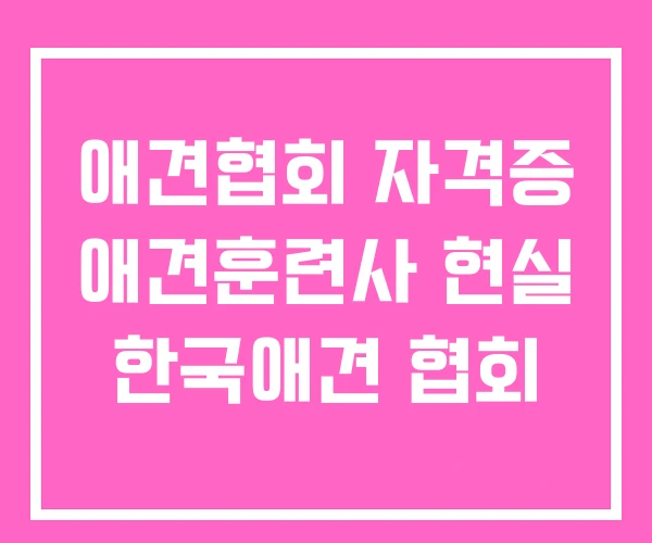 애견협회 자격증 애견훈련사 현실 한국애견 협회