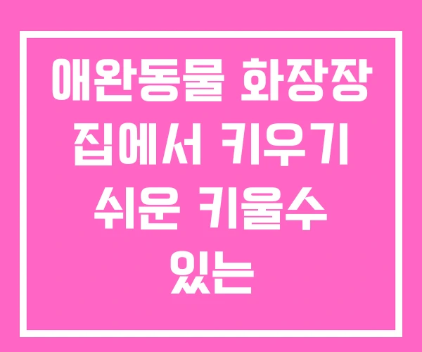 애완동물 화장장 집에서 키우기 쉬운 키울수 있는