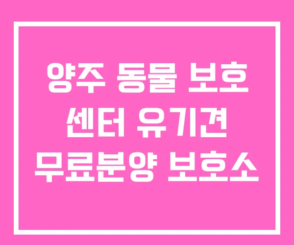 양주 동물 보호 센터 유기견 무료분양 보호소 양주 동물 보호 센터 유기견 무료분양 보호소