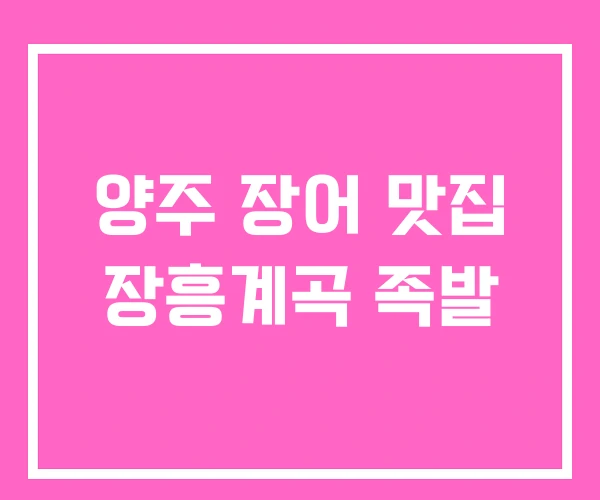 양주 장어 맛집 장흥계곡 족발
