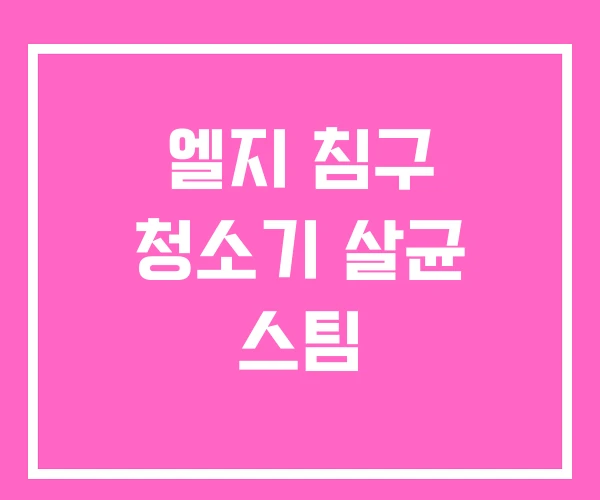 엘지 침구 청소기 살균 스팀 엘지 침구 청소기 살균 스팀
