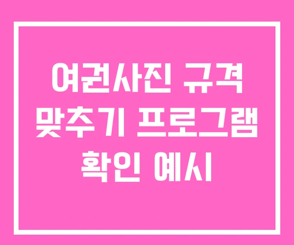 여권사진 규격 맞추기 프로그램 확인 예시