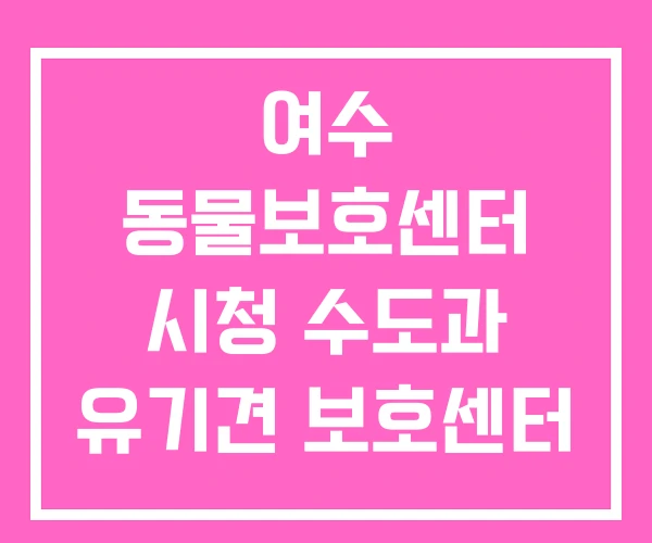 여수 동물보호센터 시청 수도과 유기견 보호센터 여수 동물보호센터 시청 수도과 유기견 보호센터