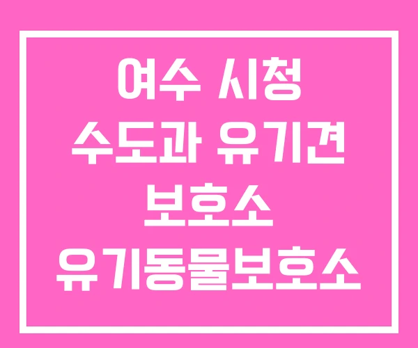 여수 시청 수도과 유기견 보호소 유기동물보호소 여수 시청 수도과 유기견 보호소 유기동물보호소