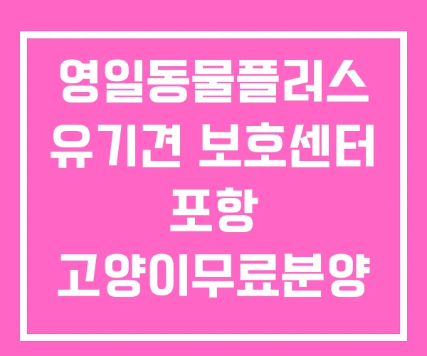 영일동물플러스 유기견 보호센터 포항 고양이무료분양 영일동물플러스 유기견 보호센터 포항 고양이무료분양