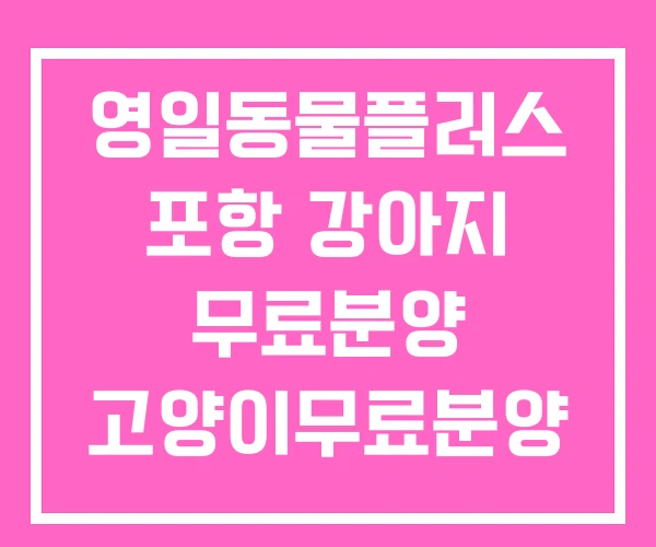 영일동물플러스 포항 강아지 무료분양 고양이무료분양 영일동물플러스 포항 강아지 무료분양 고양이무료분양