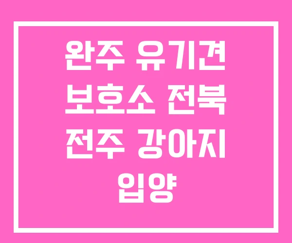 완주 유기견 보호소 전북 전주 강아지 입양 완주 유기견 보호소 전북 전주 강아지 입양