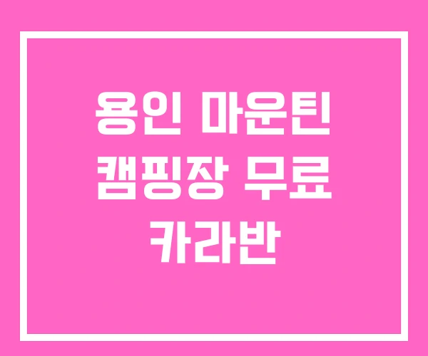 용인 마운틴 캠핑장 무료 카라반
