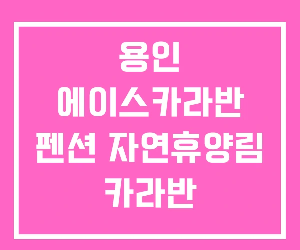 용인 에이스카라반 펜션 자연휴양림 카라반