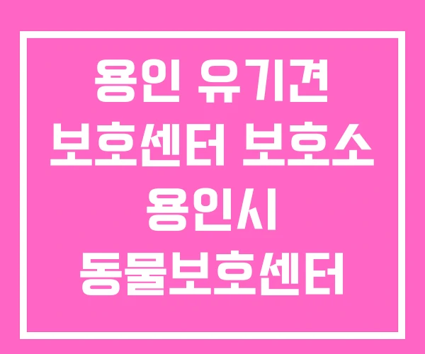 용인 유기견 보호센터 보호소 용인시 동물보호센터 봉사 용인 유기견 보호센터 보호소 용인시 동물보호센터 봉사