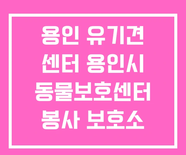 용인 유기견 센터 용인시 동물보호센터 봉사 보호소 용인 유기견 센터 용인시 동물보호센터 봉사 보호소