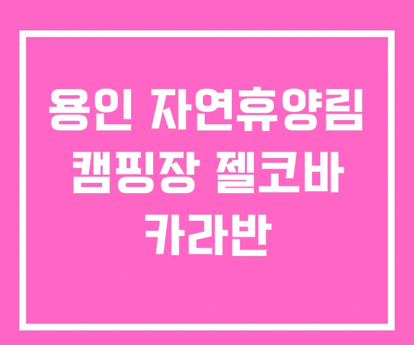 용인 자연휴양림 캠핑장 젤코바 카라반