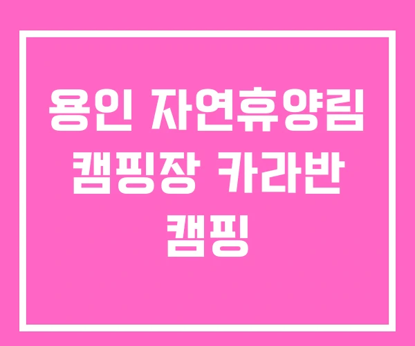 용인 자연휴양림 캠핑장 카라반 캠핑