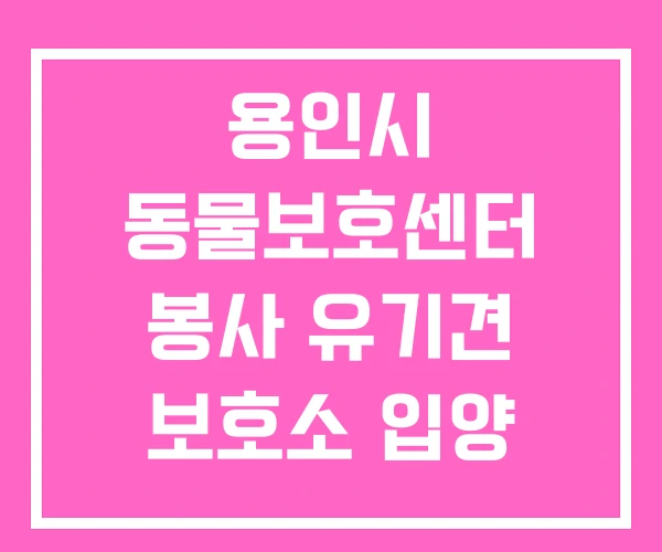 용인시 동물보호센터 봉사 유기견 보호소 입양