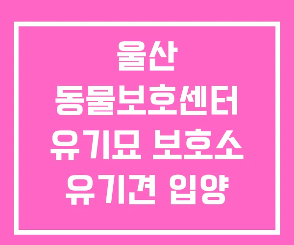 울산 동물보호센터 유기묘 보호소 유기견 입양 울산 동물보호센터 유기묘 보호소 유기견 입양