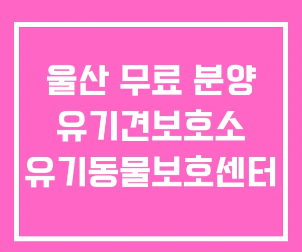 울산 무료 분양 유기견보호소 유기동물보호센터 울산 무료 분양 유기견보호소 유기동물보호센터