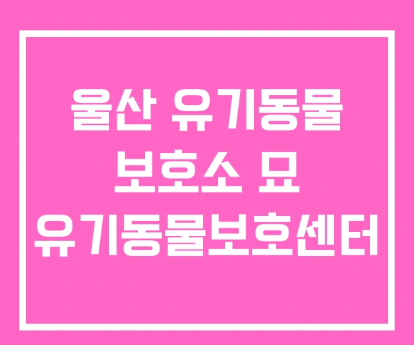 울산 유기동물 보호소 묘 유기동물보호센터 울산 유기동물 보호소 묘 유기동물보호센터