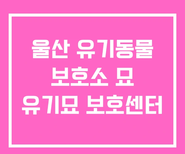 울산 유기동물 보호소 묘 유기묘 보호센터 울산 유기동물 보호소 묘 유기묘 보호센터