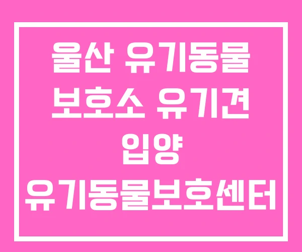 울산 유기동물 보호소 유기견 입양 유기동물보호센터