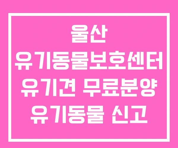울산 유기동물보호센터 유기견 무료분양 유기동물 신고 울산 유기동물보호센터 유기견 무료분양 유기동물 신고