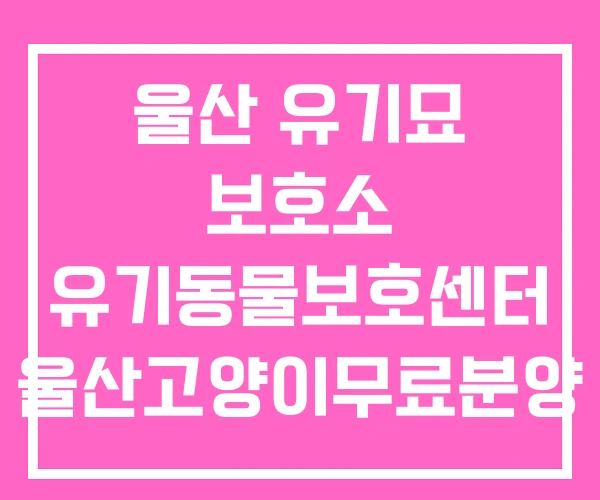 울산 유기묘 보호소 유기동물보호센터 울산고양이무료분양 울산 유기묘 보호소 유기동물보호센터 울산고양이무료분양