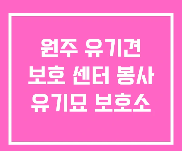 원주 유기견 보호 센터 봉사 유기묘 보호소