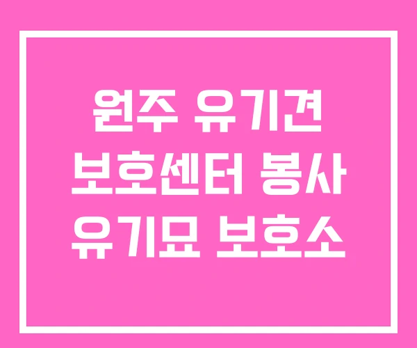 원주 유기견 보호센터 봉사 유기묘 보호소 원주 유기견 보호센터 봉사 유기묘 보호소