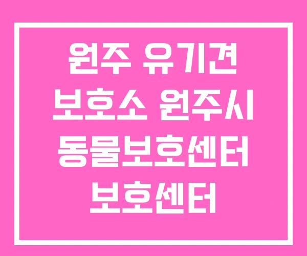 원주 유기견 보호소 원주시 동물보호센터 보호센터 원주 유기견 보호소 원주시 동물보호센터 보호센터