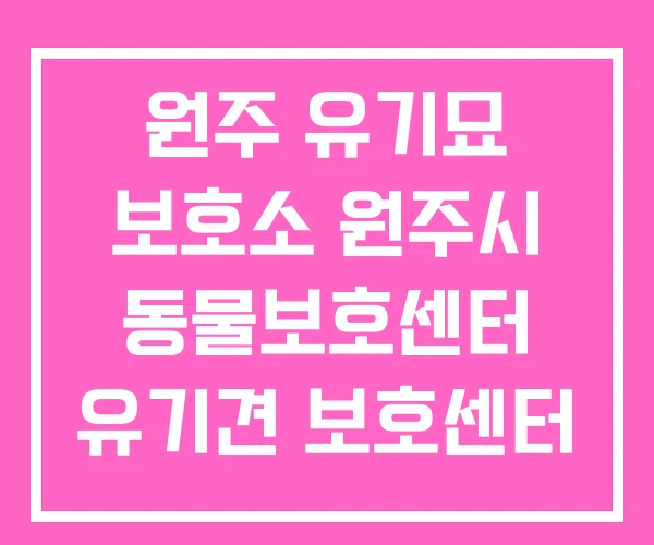 원주 유기묘 보호소 원주시 동물보호센터 유기견 보호센터 원주 유기묘 보호소 원주시 동물보호센터 유기견 보호센터