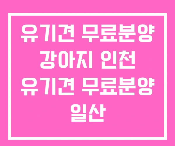 유기견 무료분양 강아지 인천 유기견 무료분양 일산 유기견 무료분양 강아지 인천 유기견 무료분양 일산