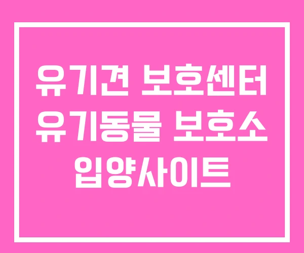 유기견 보호센터 유기동물 보호소 입양사이트 유기견 보호센터 유기동물 보호소 입양사이트
