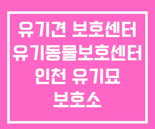 유기견 보호센터 유기동물보호센터 인천 유기묘 보호소 유기견 보호센터 유기동물보호센터 인천 유기묘 보호소