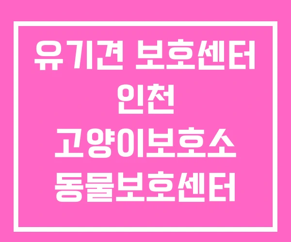 유기견 보호센터 인천 고양이보호소 동물보호센터