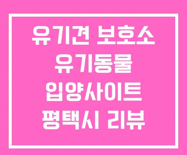 유기견 보호소 유기동물 입양사이트 평택시 리뷰 유기견 보호소 유기동물 입양사이트 평택시 리뷰