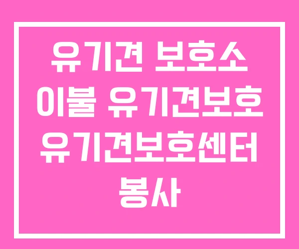 유기견 보호소 이불 유기견보호 유기견보호센터 봉사 유기견 보호소 이불 유기견보호 유기견보호센터 봉사