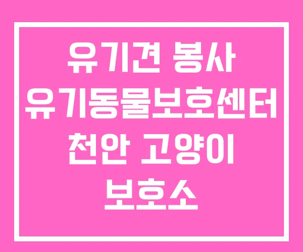 유기견 봉사 유기동물보호센터 천안 고양이 보호소 유기견 봉사 유기동물보호센터 천안 고양이 보호소