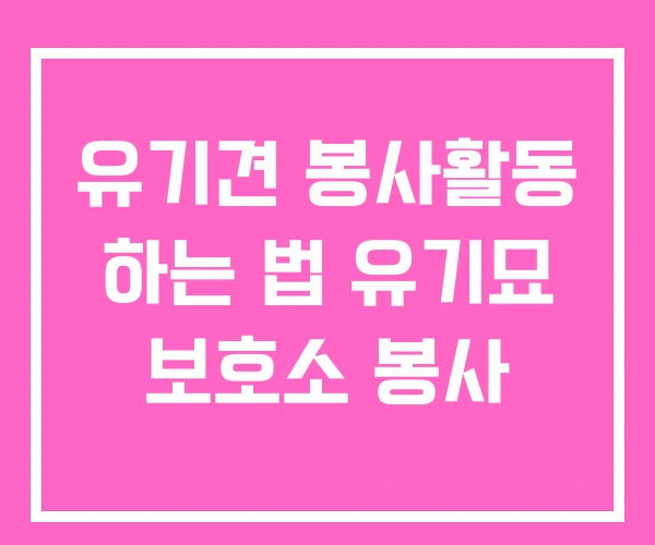 유기견 봉사활동 하는 법 유기묘 보호소 봉사 유기견 봉사활동 하는 법 유기묘 보호소 봉사