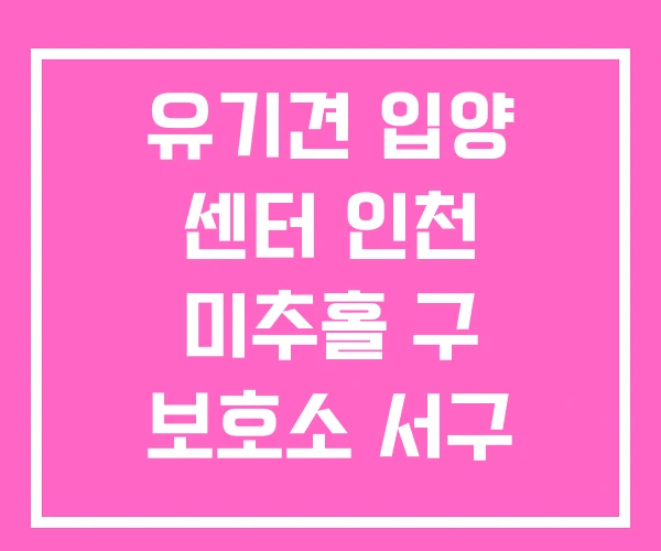 유기견 입양 센터 인천 미추홀 구 보호소 서구 유기견 입양 센터 인천 미추홀 구 보호소 서구